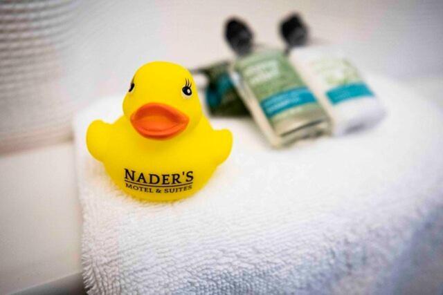 King Room with Pool View,1499237983:JPEG